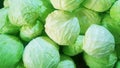 Fresh cabbage sold in the market, Vegetable natural background
