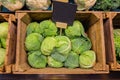 Fresh cabbage vegetable in wooden box stall in greengrocery with price chalkboard label