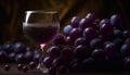 Fresh cabernet sauvignon grape, ripe for winemaking generated by AI