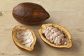 Fresh Cacao fruit Royalty Free Stock Photo