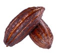 Fresh cacao fruits isolated on white background. Dark red cocoa pods. Clipping path. Royalty Free Stock Photo