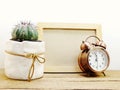 Fresh cactus in flowerpot with photo frame and alarm clock Royalty Free Stock Photo