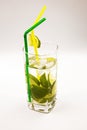 Fresh Caipirinha white Royalty Free Stock Photo