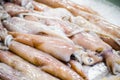 Fresh Calamari, squid freezing on the ice at a fish market.