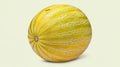 Fresh canary melon isolated on a white background Royalty Free Stock Photo