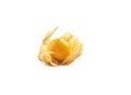 Fresh cape gooseberry isolated over white background Royalty Free Stock Photo