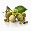 Fresh capers photo white background