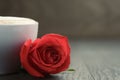 Fresh cappuccino with red rose on wood table Royalty Free Stock Photo
