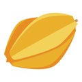 Fresh carambola icon, isometric style