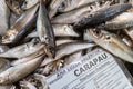 Fresh Carapau in Algarve Fish Market, Portugal Royalty Free Stock Photo