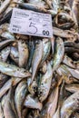 Fresh carapau or horse mackeral in fish market, Algarve Royalty Free Stock Photo