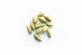 Fresh Cardamom stock image