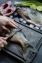 Fresh carp on a dark background with greens and vegetables. A man cuts carp into pieces on a wooden board Royalty Free Stock Photo