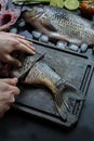 Fresh carp on a dark background with greens and vegetables. A man cuts carp into pieces on a wooden board Royalty Free Stock Photo