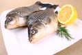 Fresh carp with lemon and dill on white plate