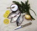 A fresh carp live fish lying on a on paper background with a knife and slices of lemon and with salt dill. Live fish crucian Cara