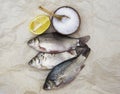 A fresh carp live fish lying on a on paper background with a knife and slices of lemon and with salt dill. Live fish crucian Cara