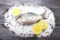 A fresh carp live fish lying on a on salt and pepper background with slices of lemon and with salt dill. Live fish crucian Carass