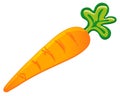 Fresh Carrot