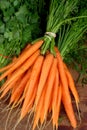 Fresh Carrot Royalty Free Stock Photo
