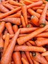 Fresh carrot bunch from garden