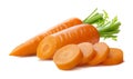 Fresh carrot and cut pieces isolated on white background