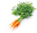 Fresh carrot fruits with green leaves Royalty Free Stock Photo