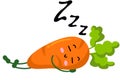 Fresh carrot funny mascot sleeping