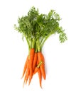 Fresh carrot heap vegetables isolated on white Royalty Free Stock Photo