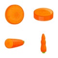 Fresh carrot icons set cartoon vector. Whole and chopped carrot