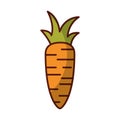 Fresh carrot isolated icon Royalty Free Stock Photo