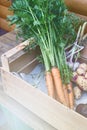 Fresh Carrot Juice in a Glass on a Dark Grey Background Healthy Drink Detox Diet Juice Glass of Tasty Carrot Juice on Wooden Board