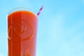 Fresh Carrot and orange juice against blue sky Royalty Free Stock Photo