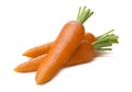 Fresh carrot pack together isolated on white background Royalty Free Stock Photo