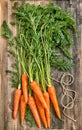 Fresh carrot roots green leaves rustic wooden background