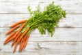 Fresh carrot roots with green on wooden background