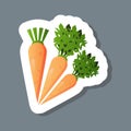 Fresh carrot sticker tasty vegetable icon healthy food concept