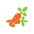 Fresh carrot vegetable icon,logo vector illustration design template Royalty Free Stock Photo