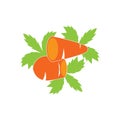 Fresh carrot vegetable icon,logo vector illustration design template Royalty Free Stock Photo