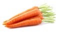 Fresh carrot Royalty Free Stock Photo