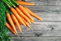 Fresh Carrot on Wooden Table in Garden. Vegetables Vitamins Keratin. Natural Organic Carrot lies on Wooden background