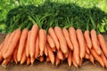 Fresh carrots