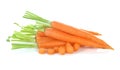 Fresh carrots, baby carrot