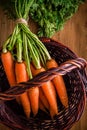 Fresh carrots bunch in the basket Royalty Free Stock Photo