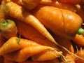 Fresh carrots close up Royalty Free Stock Photo