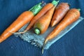 Fresh carrots closeup on a dark tablecloth