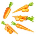 Fresh carrots collection