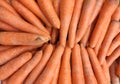 Fresh carrots croped texture background wallpapes