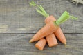 Fresh carrots and cut carrots on wooden rustic Royalty Free Stock Photo