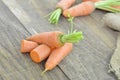 Fresh carrots and cut carrots on wooden table rustic Royalty Free Stock Photo